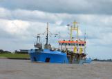 nl-jih-2016-6